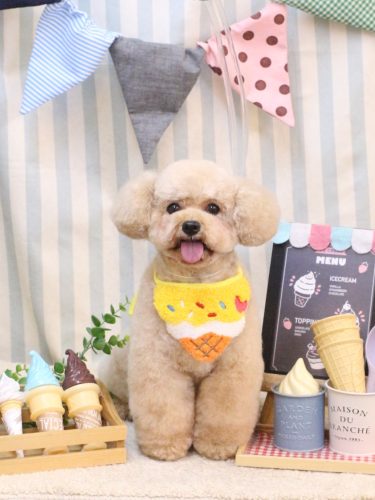 20250531モコくん